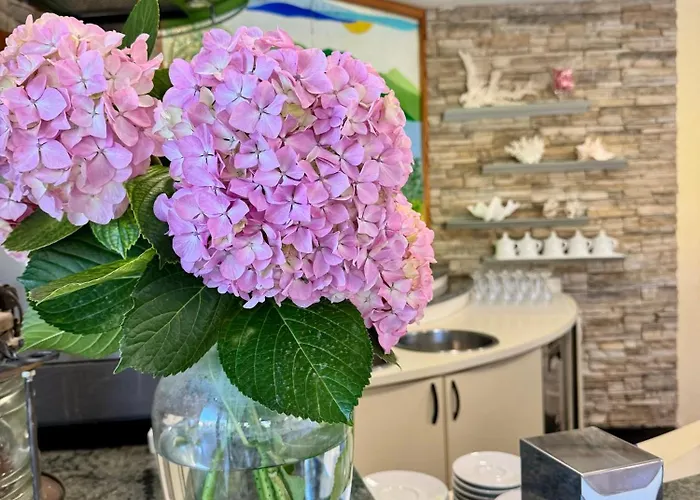 Hotel Fontalleccio 3*